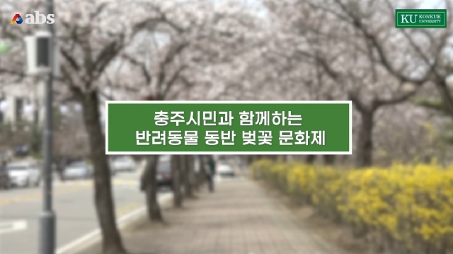 [영상] 충주시민과 함께하는 반려동물 동반 벚꽃 문화제 대표 이미지